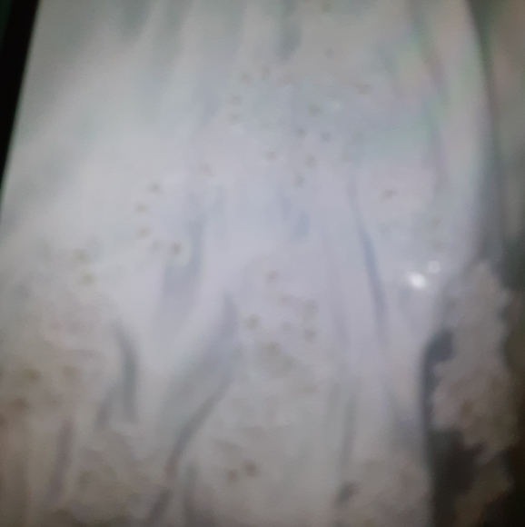 Wedding dress - Picture 3 of 15